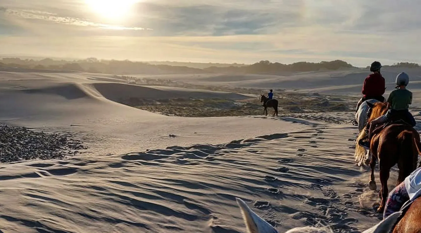 sunset horse rides in jeffereysbay