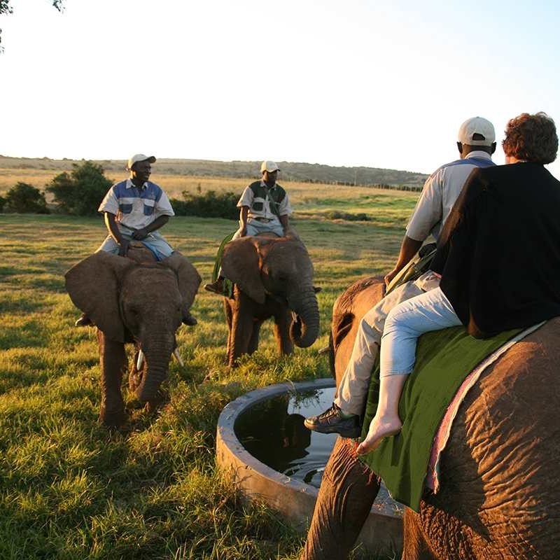 H_Kwantu_Elephant_Sanctuary_3.jpg